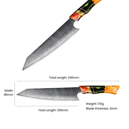 Seigi Damascus Kiritsuke